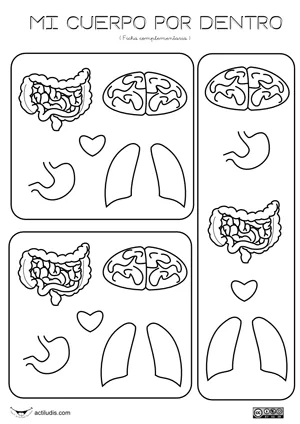 EL CUERPO HUMANO EN EDUCACIÓN INFANTIL: Imágenes y recortables de ...