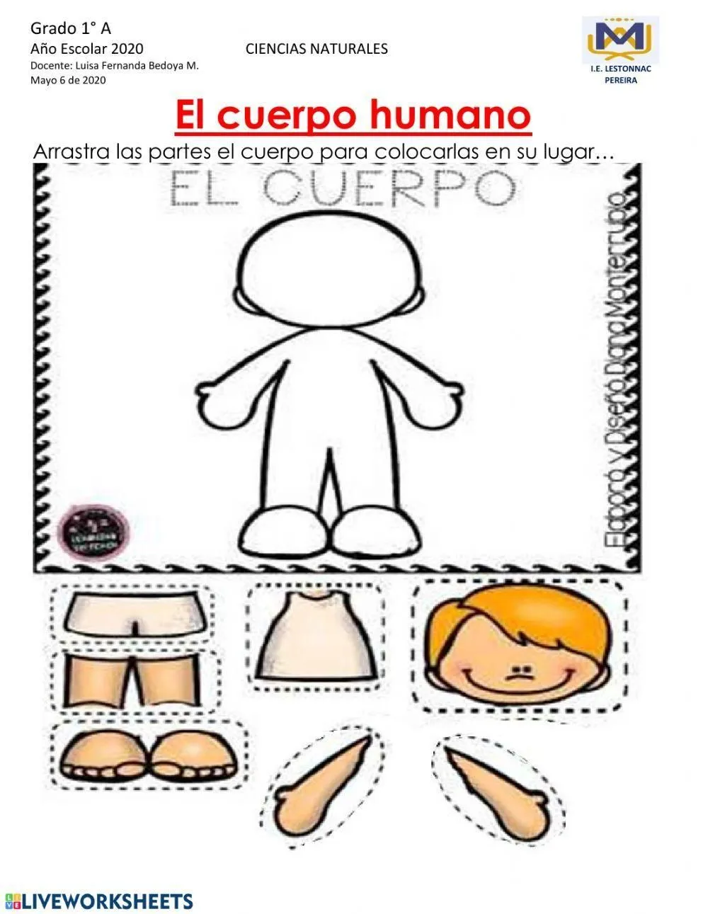 CUERPO HUMANO grado 1-Rompecabezas(arrastre de frichas) worksheet | Live  Worksheets