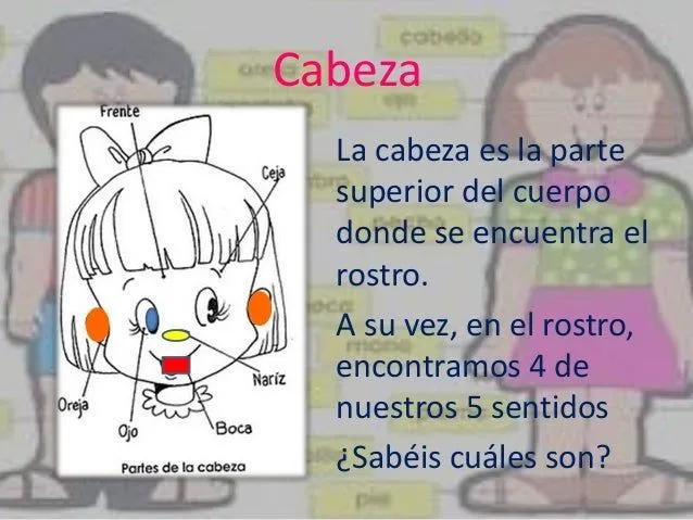 cuerpo-humano-para-nios-3-638. ...