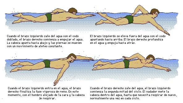 Cuerpo sano; recibo Osteopatía Profesional: Escoliosis