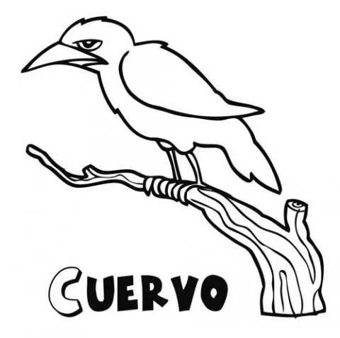 de cuervos para colorear. Imágenes de aves para pintar