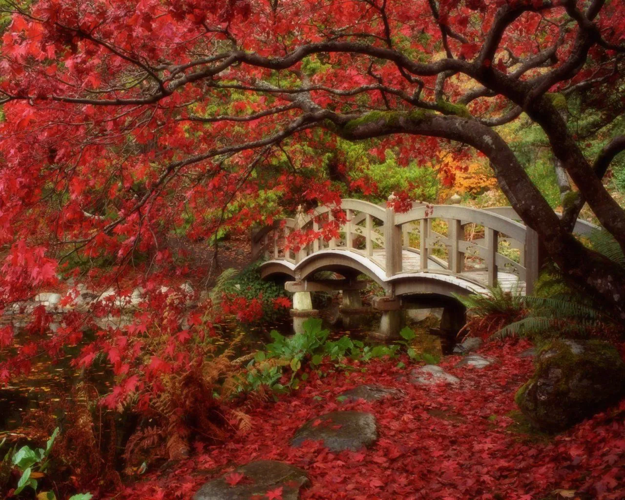 la cueva del chancho: Fondos de paisajes