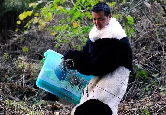 Cuidadores de Panda gigante se disfrazan - Panda disfraz : Blog de ...