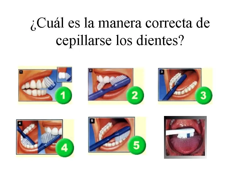 Cuidando sus dientecitos: ¿Cómo se deben cepillar los dientes?