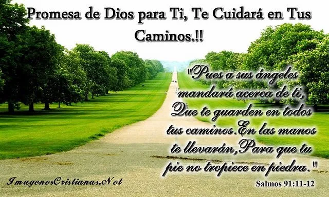 Te cuidará en tus caminos!!! | En la Búsqueda de DIOS