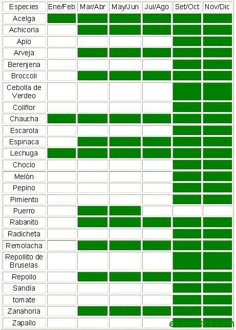 Como cultivar con macetas y no morir en el intento (Segunda parte ...