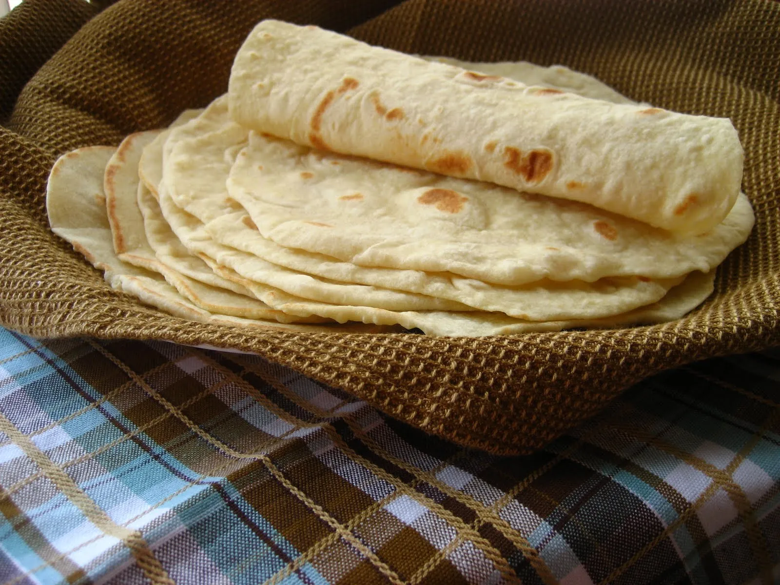 CULTIVOS ANTIGUOS: TORTILLA DE MAÍZ