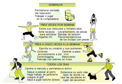 CULTURA FÍSICA | abcproject20