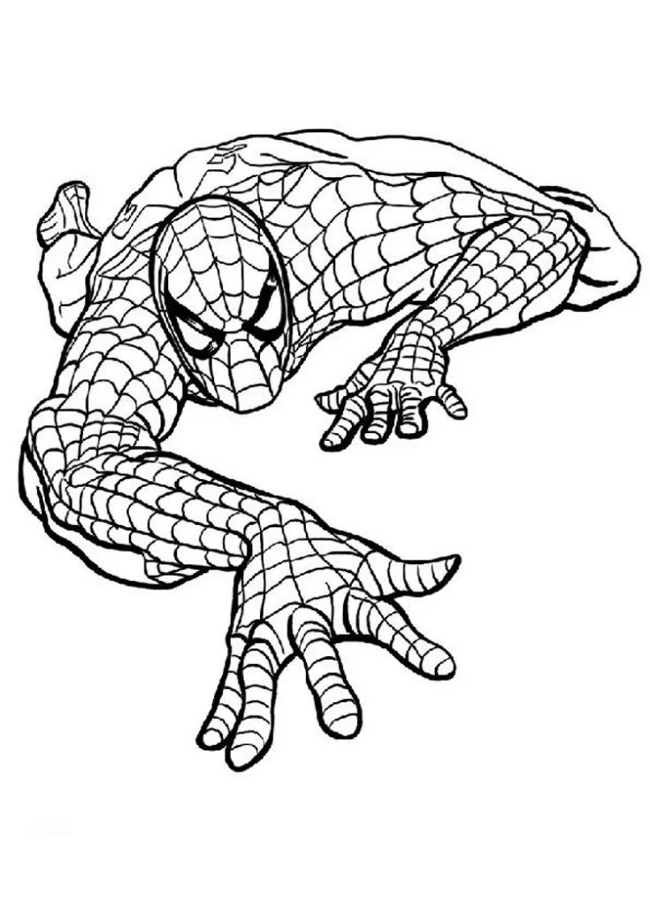 Cultura Infantil: Spiderman para colorear