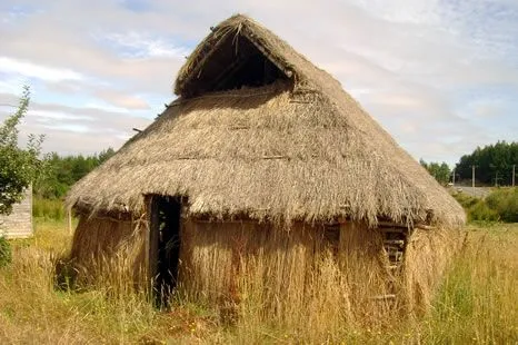 Cultura Mapuche: Arquitectura Mapuche