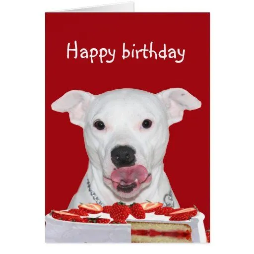 Cumpleaños de Terrier de pitbull Tarjetas de Zazzle.