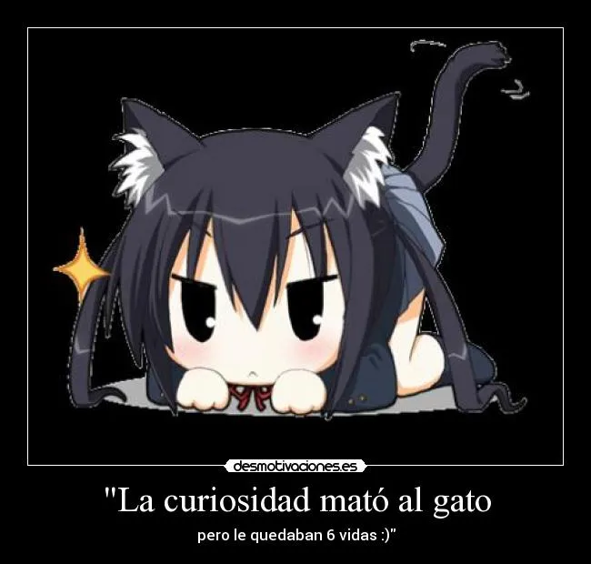 La curiosidad mató al gato | Desmotivaciones