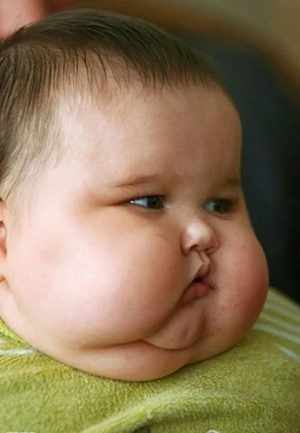 Bebés gordos imagenes - Imagui