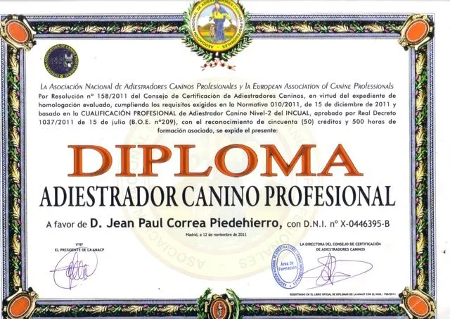 Curso adiestrador canino | Los Guardianes