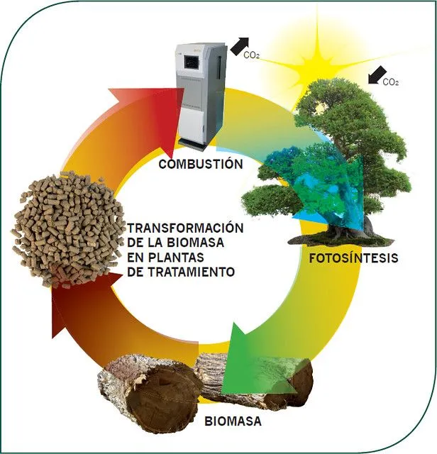 CURSO SOBRE BIOMASA EN FACULTAD DE CIENCIAS NATURALES | Flickr ...