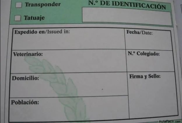 Curso gratis de Cuidado de Cachorros - La cartilla | AulaFacil.com ...