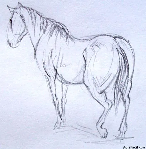 Curso gratis de dibujo de Caballos - Dibujar Caballos - postura de ...