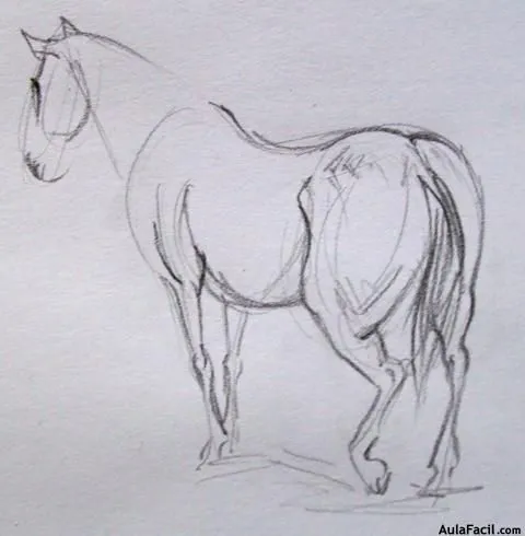 Curso gratis de dibujo de Caballos - Dibujar Caballos - de ...