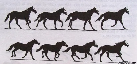 Curso gratis de Dibujo de Caballos - El movimiento | AulaFacil.com ...