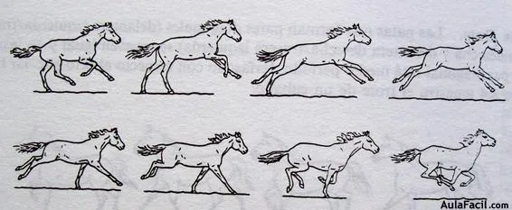 Curso gratis de Dibujo de Caballos - El movimiento. Las ...