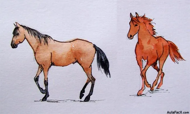 Curso gratis de Dibujo de Caballos - El pelaje | AulaFacil.com ...