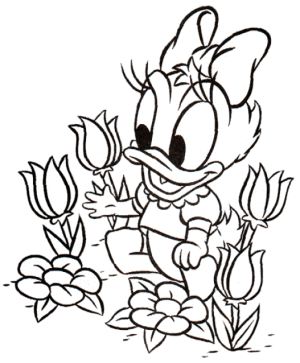 Daisy bebe para colorear