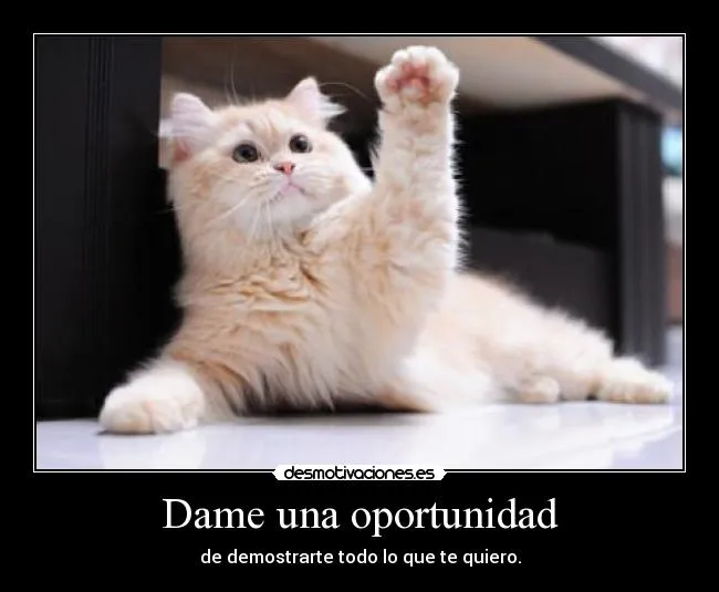 Dame una oportunidad | Desmotivaciones