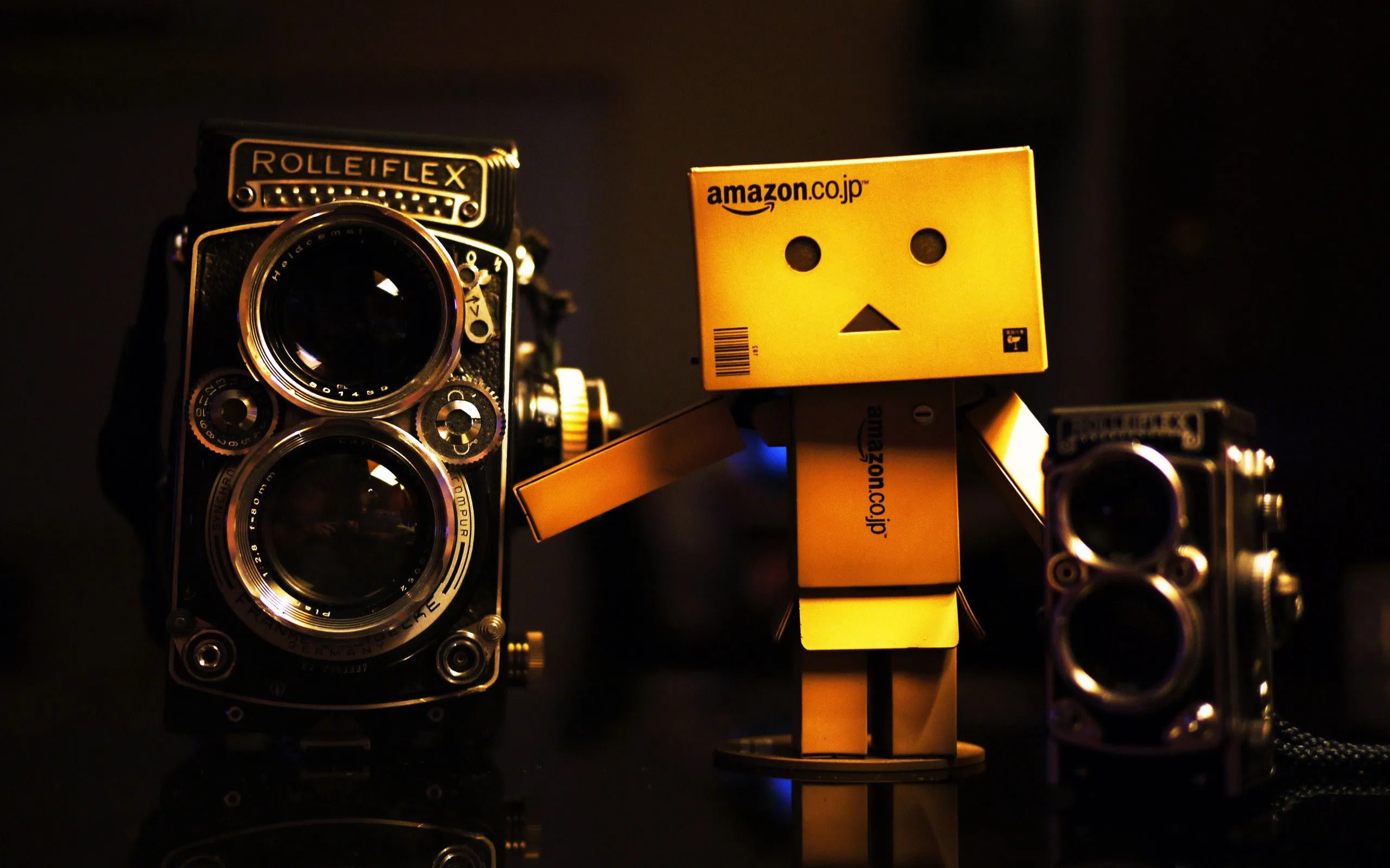 Danbo Computer Wallpapers, Desktop Backgrounds 2560x1600 Id: 176125