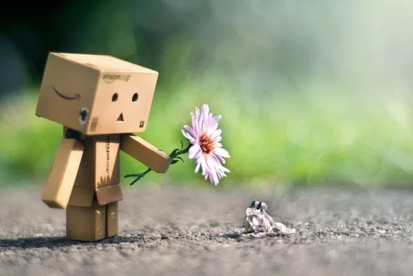 Danbo | fatemystory