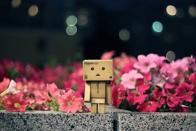 Danbo Is Back! And Now, Danbo Is In Japan! | The Mary Sue