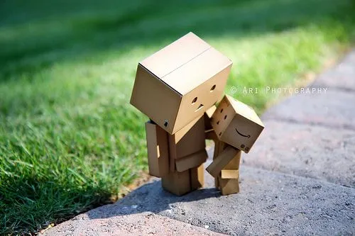 Danbo Patah Hati | SUWARNO