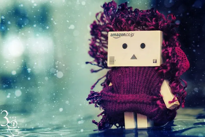 Danbo, El robot de carton