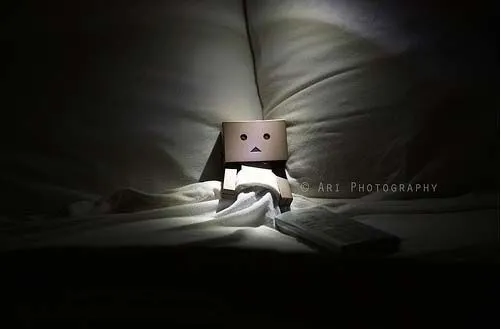 danbo24.jpg