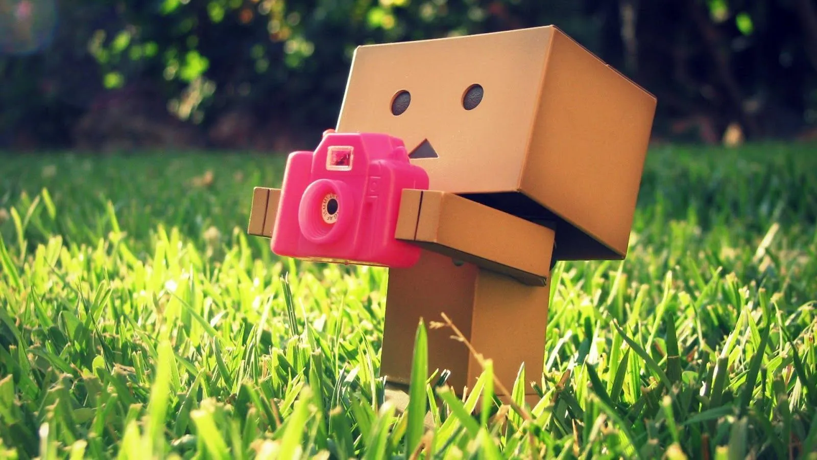 DanBorad - DanBo Wallpaper - DanBo cute - DanBo Fan