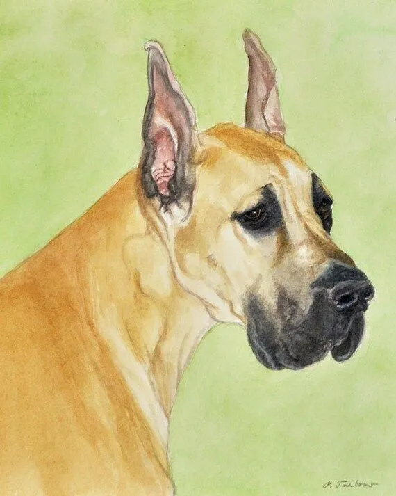 Gran danés arte huella perro de Acuarela Original por PTarlowArt
