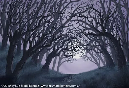 Dark forest / Bosque oscuro | Luis María Benítez - Illustrator