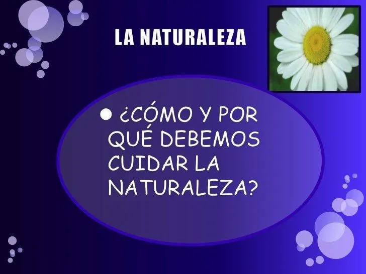 Como y porque debemos cuidar la naturaleza