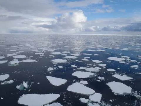 December 15, 2010 Icebergs,Penguins, and Sea Ice | PolarTREC