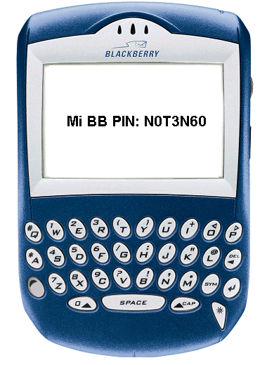 algo que decir: Mi BB pin