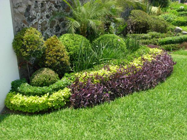 DECORACION ACTUAL: de jardines en casa