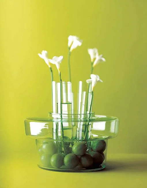 Decoración: Decorar con limones