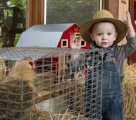 Fiesta infantil de granjero - Imagui
