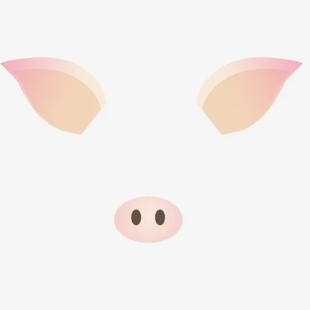 Decoraciones Faciales Decoraciones Ilustraciones Ornamentales Lindas Orejas  De Cerdo PNG , Decoraciones Faciales, Decoraciones, Ilustraciones  Ornamentales PNG y… | Caretas de animales, Ilustraciones, Cerdo dibujo