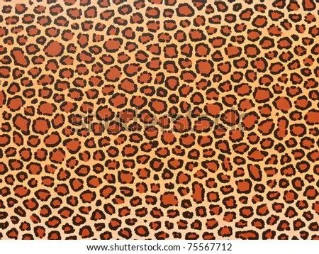 Decorative Background - Leopard Skin Pattern. More Of This Motif ...