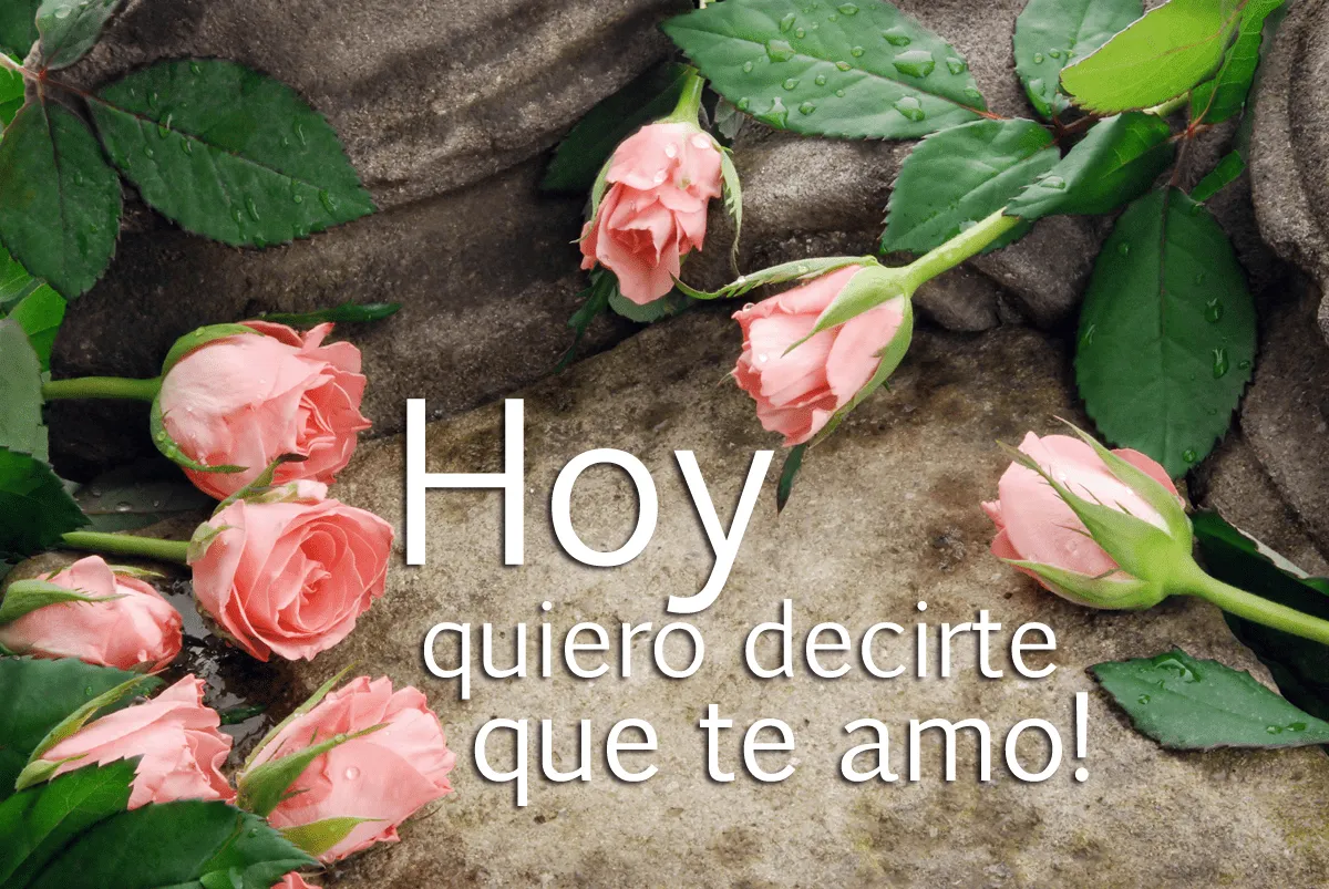 Dedicatoria de Amor | En HD Imagenes