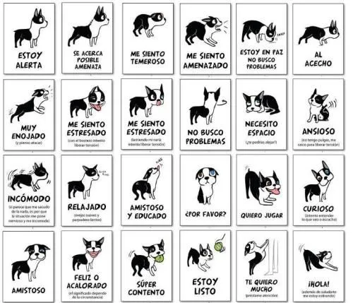 Defensa Animal-Vegetal