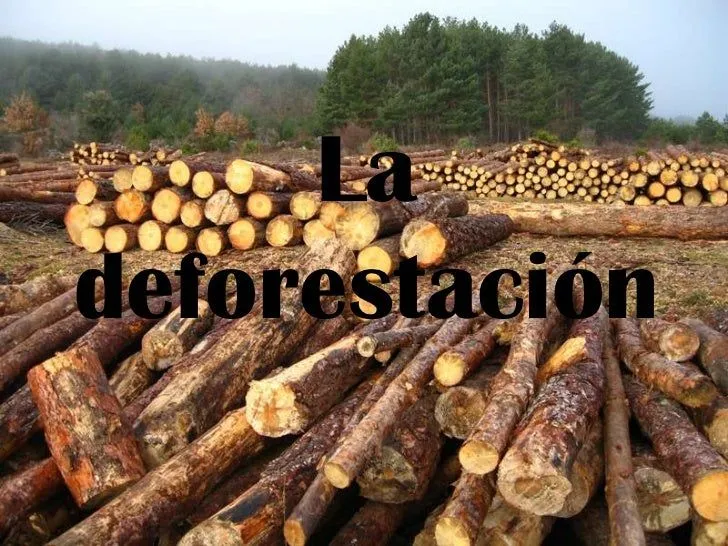 La deforestación