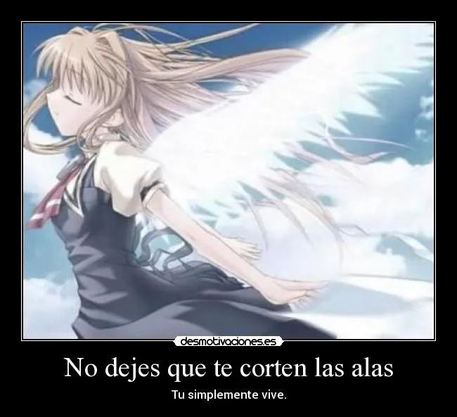 No dejes que te corten las alas | Desmotivaciones