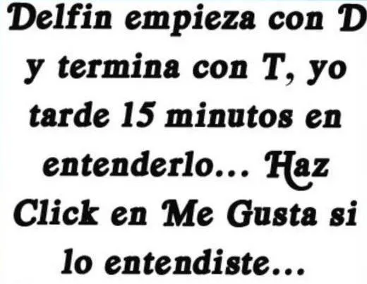 Delfín empieza con D y termina con T | Imagenes copadas