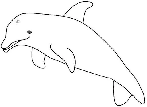 DELFINES DIBUJOS PARA COLOREAR | Dibujos para colorear